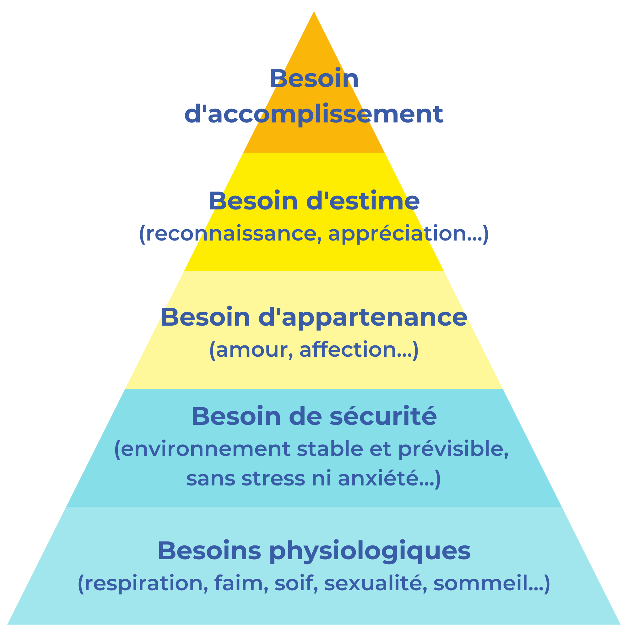 Présentation de la pyramide de Maslow, selon 5 types de besoin (accomplissement, estime, appartenance, sécurité, physiologiques)