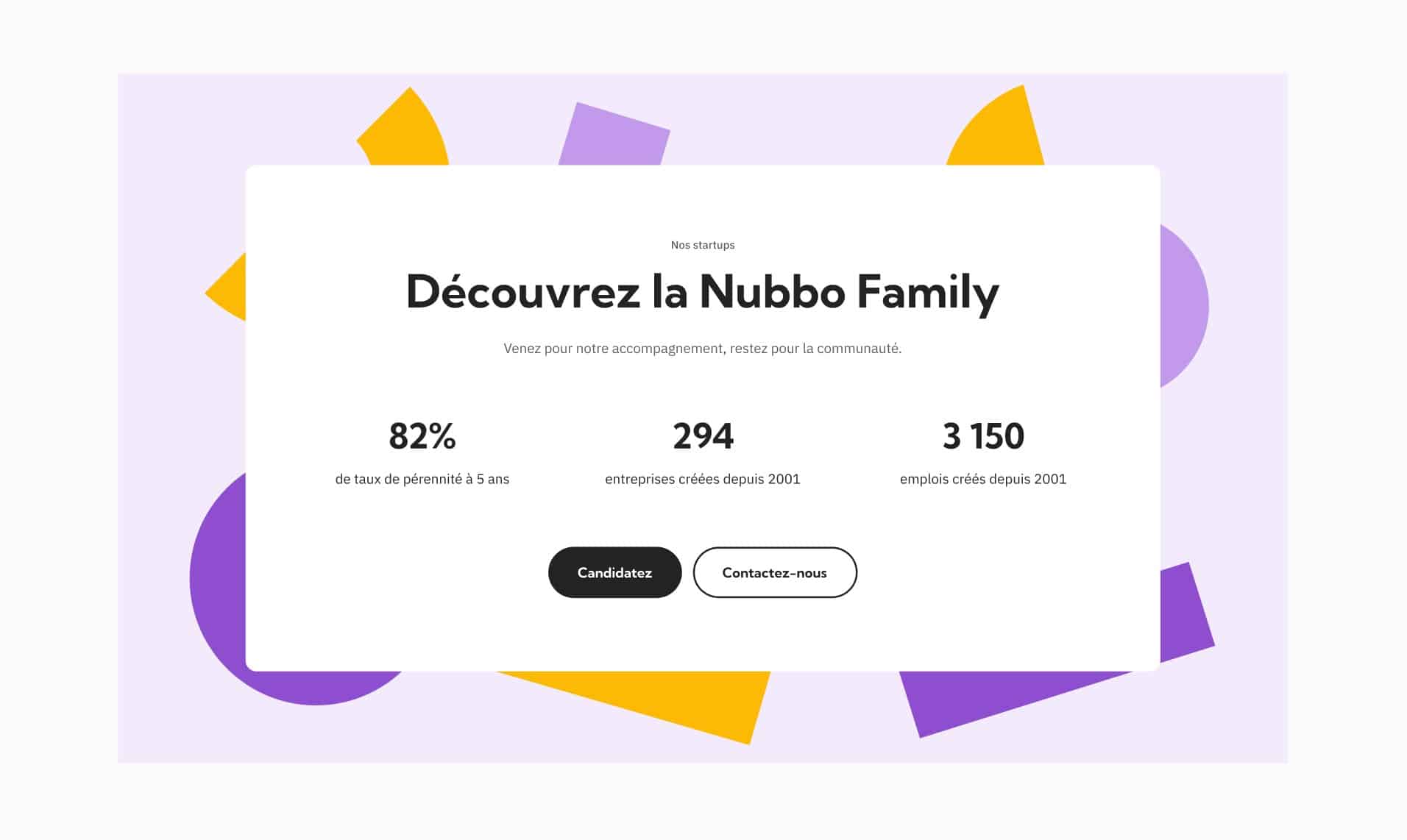 Section à propos de la Nubbo Family