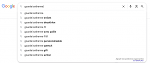 Google sugest exemple gourde